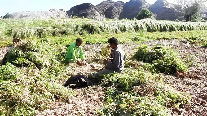 طالبوا محافظ أبين بتشكل لجنة تحقيق..